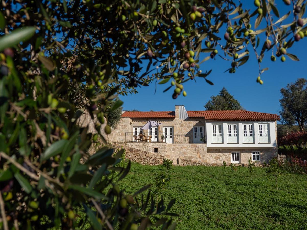 Casa Da Portelinha Arcos de Valdevez Exteriör bild